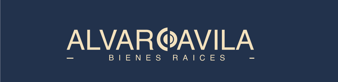 Alvaro Avila Bienes Raices